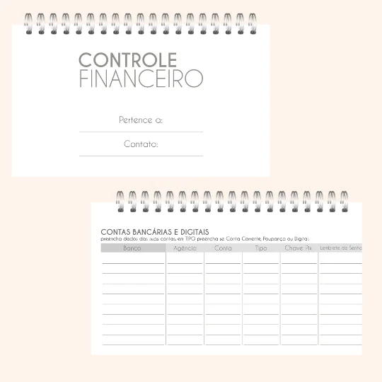 Controle Financeiro Bolsa - Imagem 2