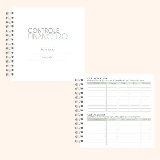 Controle Financeiro Pocket - Imagem 2
