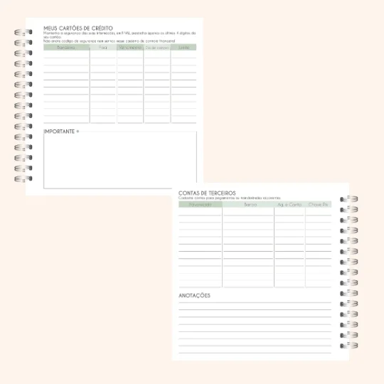 Controle Financeiro Pocket - Imagem 4