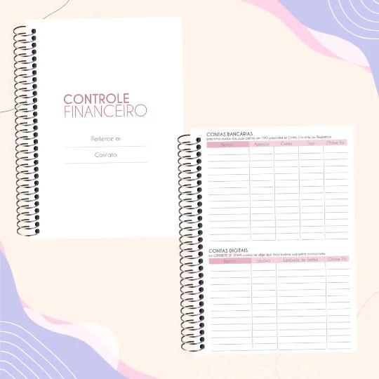 Caderno de Controle  Financeiro - Imagem 2
