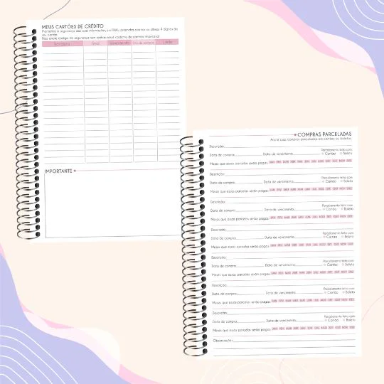 Caderno de Controle  Financeiro - Imagem 3